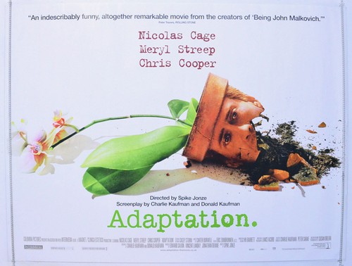 adaptation